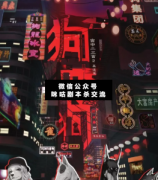 <b>阵营本《狗咬狗》</b>