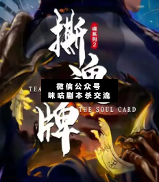 魂系列2：撕魂牌剧本杀
