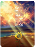 给你一朵太阳花剧本杀复盘测评（情感CP）线索答案/任务推理教程