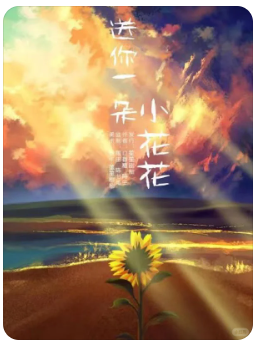 给你一朵太阳花