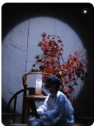 《兔儿眨眼的盛夏》我是谜答案：仲夏奇遇谜踪/玉兔守护之谜/月光森林奇案