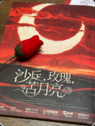 《沙丘,玫瑰,苦月亮》剧本杀复盘指南:线索流程情感解析真相结局揭秘