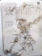 《致新世界》剧本杀复盘：末日废土终章+三部曲彩蛋联动+沉浸情感立意